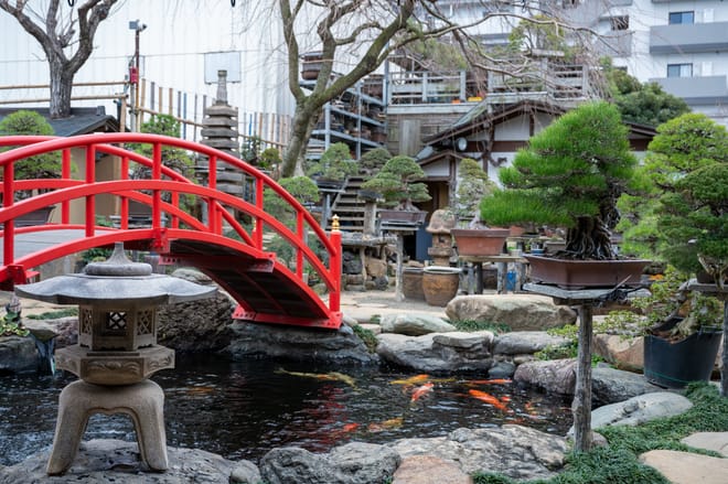 Make Your Own Bonsai with a Professional Bonsai Artist in Tokyo photo 5