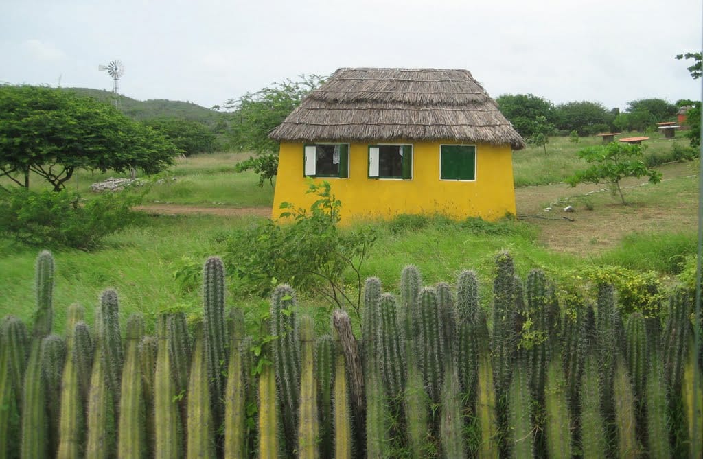 Rincon Visit with Local Guide
