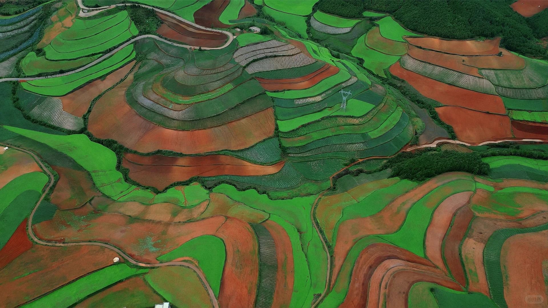 Dongchuan colorful red lands(summer season)