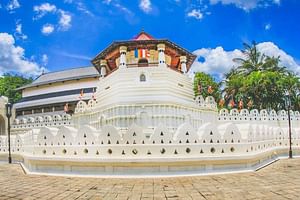 3-Day Hill country tour of Sri Lanka