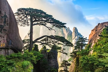 Huangshan Yellow Mountain One-Day Climbing Tour