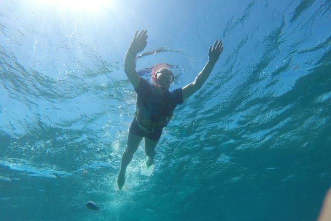 Dolphin House Reef Snorkeling Adventure &amp; Transfers – Marsa Alam