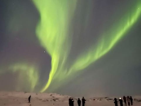 Private Northern Lights Tour – Mercedes-Benz V-Class (1–6 Passengers), photo 2