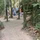Cu Chi Tunnels and Mekong Delta 1 Day Tour With Small Group
