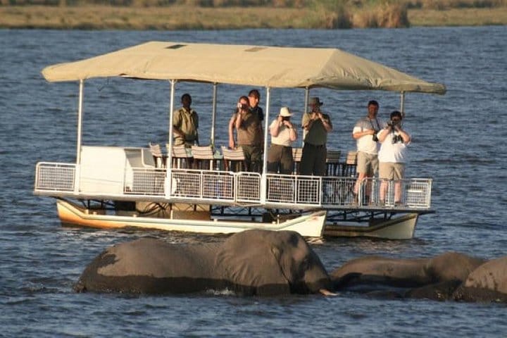 Chobe Full Day Trip (From Victoria Falls)