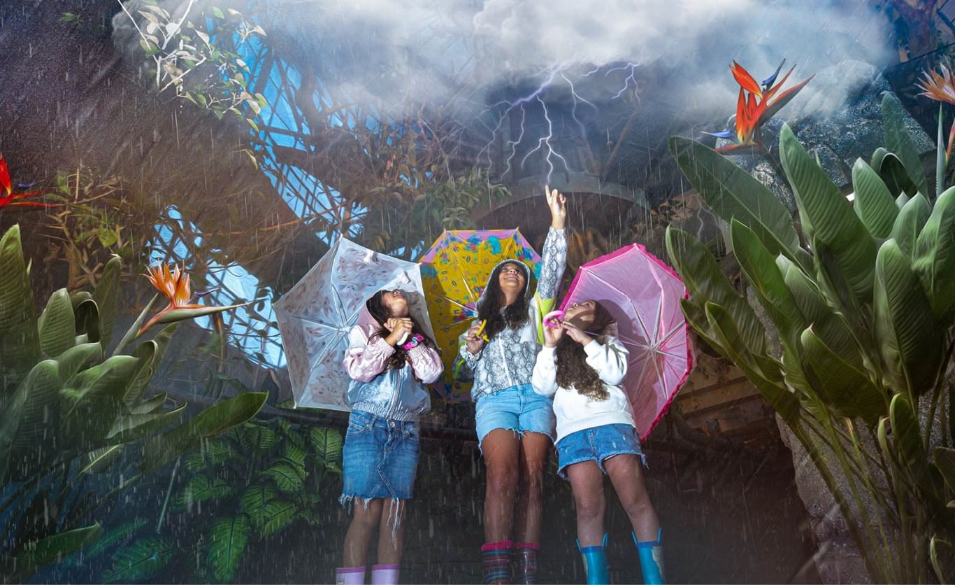 THE GREEN PLANET DUBAI ONLINE TICKETS | EXPLORE THE RAINFOREST WITH TOUR VISIONARY