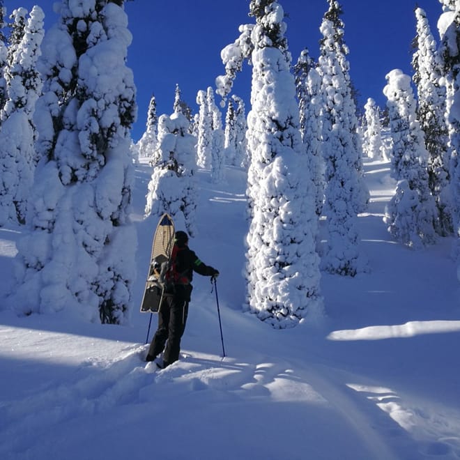 Feel the nature of an Arctic Mountain