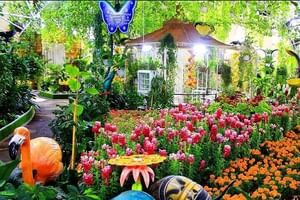 Dubai Butterfly Garden Tour with Optional Transportation Service