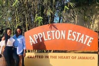  Ys Falls and Appleton Estate Factory Tour with private transportation  5