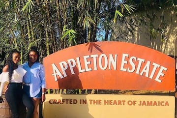 Ys Falls and Appleton Estate Tour in Montego Bay
