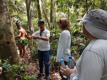 4-Hour Amazon Rainforest Trekking Tour from Manaus