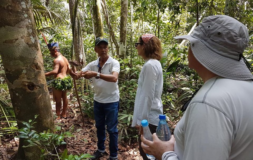 4-Hour Amazon Rainforest Trekking Tour from Manaus
