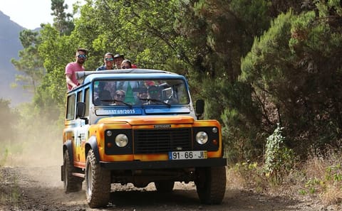 4x4 Wine Tour and Scenic Views in Funchal, Portugal