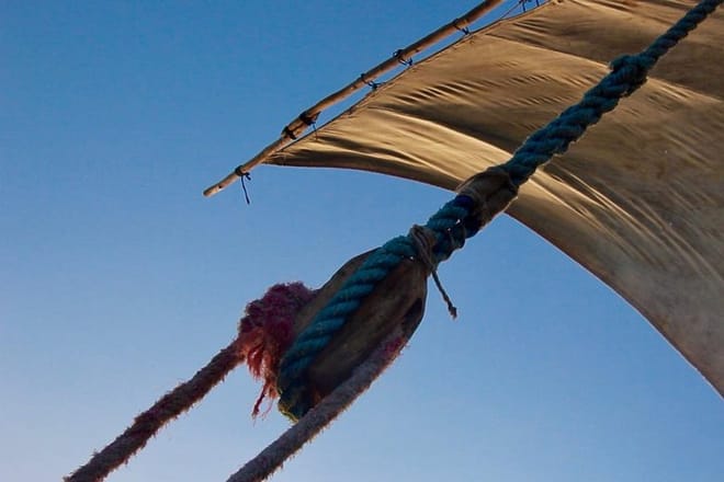 Private Full-Day Cruise on Sandbank and Kwale Island photo 2