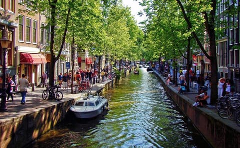 Private Full-Day Amsterdam City Tour from Brussels