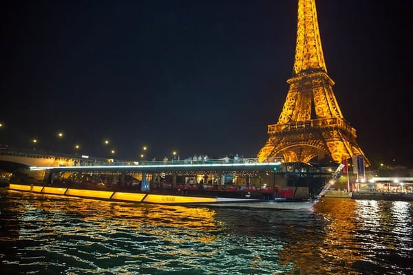  Louvre to Seine River Cruise Private Tour with Airport Pick up