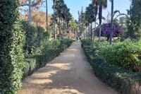 3 Day Private Santiago City & Casablanca Valley Wine Tour 7