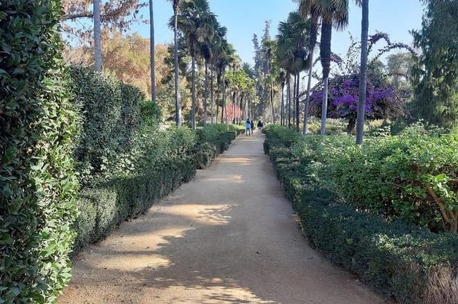 3 Day Private Santiago City & Casablanca Valley Wine Tour 7