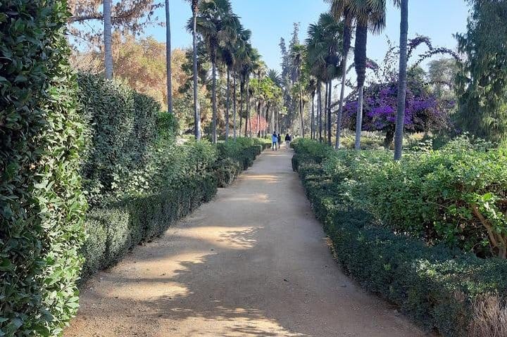 3 Day Private Santiago City & Casablanca Valley Wine Tour 7