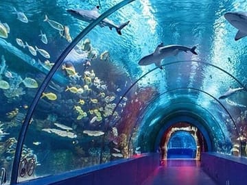 Antalya Aquarium Admission Ticket