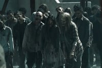 Urban zombie game in Pau