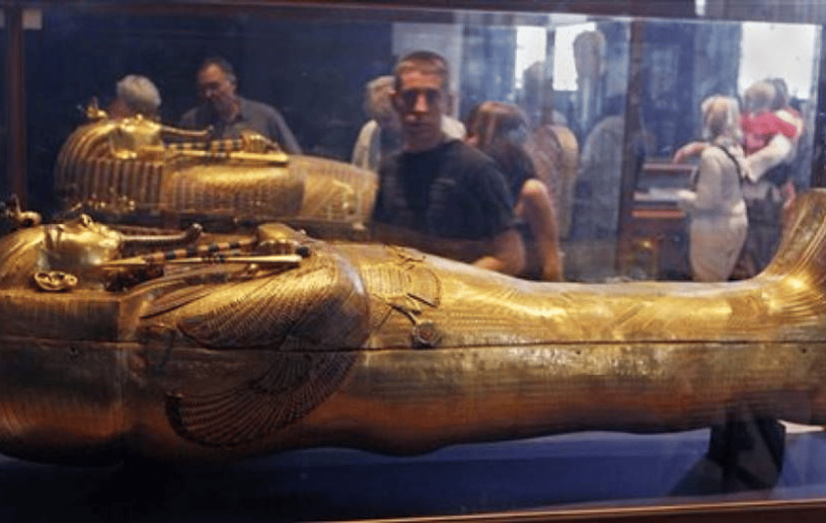 Cairo Tour: Egyptian Museum Visit and Sunset Felucca Ride