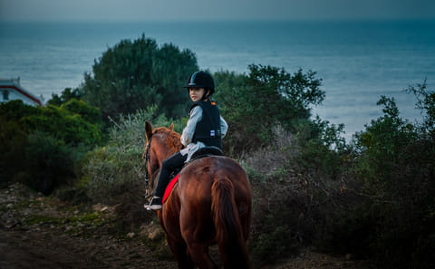Horseback Riding – Tangier (Mountain & Sea)
