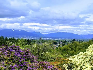Queen Elizabeth Park