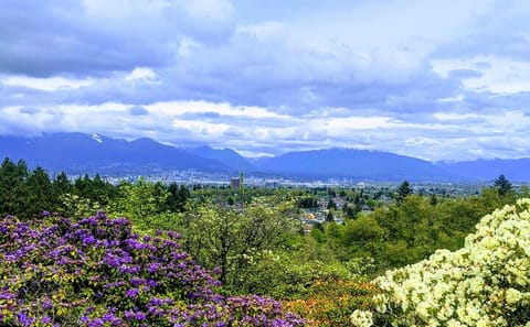 Explore Burnaby and Delta on a 4-Hour City Tour