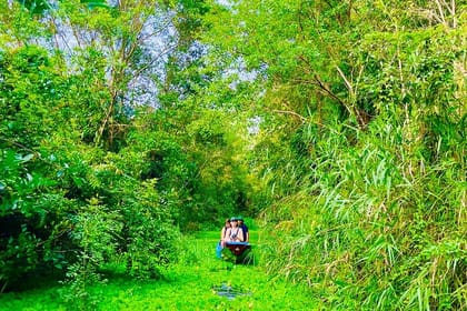 U Minh Thuong National Park Deep Exploration