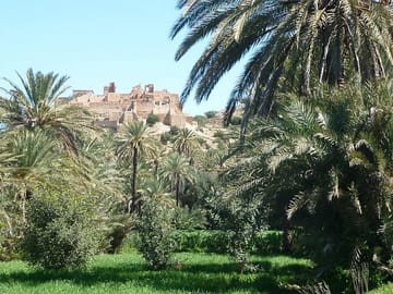 Kasbah Tiout