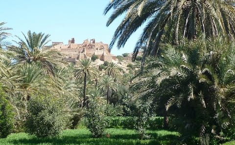 Taroudant and Tiout Oasis Day Trip from Agadir