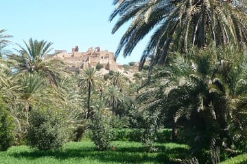Taroudant and Tiout Oasis Day Trip from Agadir