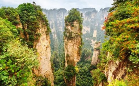 14-Day Customized Tour of China's Natural Wonders