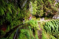 PR18 Wood Levada : Hidden Corners : The King's Levada 4