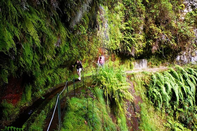 King's Levada / Ribeiro Bonito photo 4