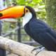 Bird Park