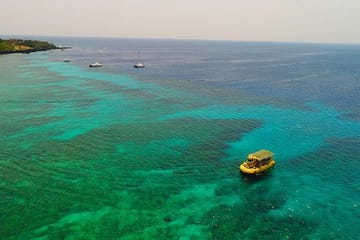 Glass Bottom Boat Tour and Wildlife Experience in West Bay