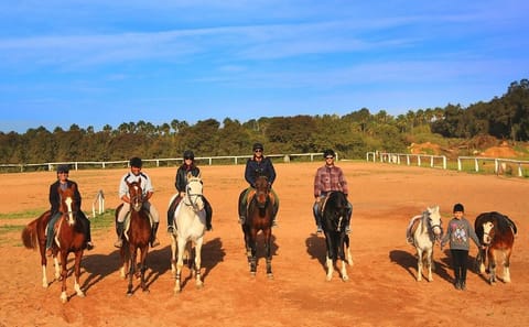 Horseback Riding Adventure in Marrakesh Countryside