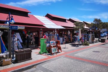 Private Whale Watching, Penguin Viewing, and Wine Tasting Tour from Cape Town