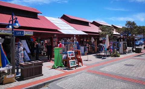 Private Whale Watching, Penguin Viewing, and Wine Tasting Tour from Cape Town