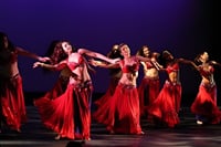 Hurghada : Egyptian Nights Live Cabaret, Dance, Live Show 2