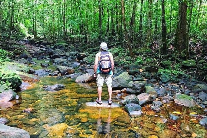 Rain Forest Trekking at Kitulgala Forest Reserve Sri Lanka