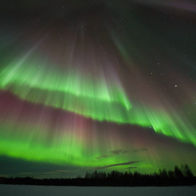 Rovaniemi: Insider Aurora Hunting