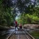 Phuket Eco Exploration Raft Ride & Discover Tour from Khao Lak