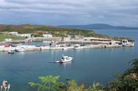 Explore Cape Clear island departing from Schull - Self-guided 1