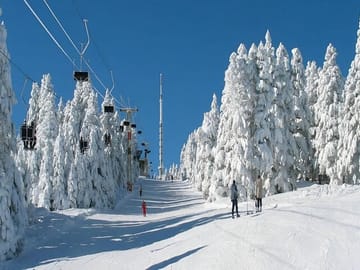 Private Bakuriani and Borjomi Adventure Day Tour