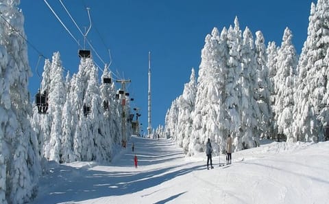 Private Bakuriani and Borjomi Adventure Day Tour