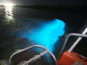 Luminous Lagoon Tour