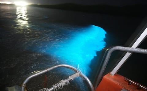 Luminous Lagoon Boat Tour from Montego Bay Hotels